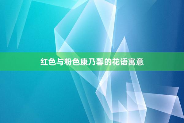 红色与粉色康乃馨的花语寓意