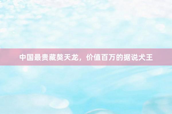 中国最贵藏獒天龙，价值百万的据说犬王