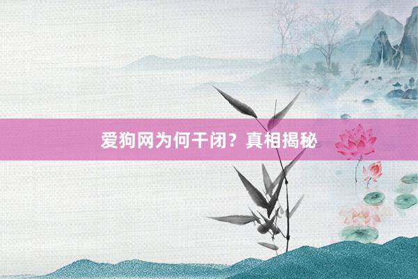 爱狗网为何干闭？真相揭秘