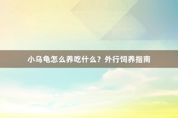 小乌龟怎么养吃什么？外行饲养指南