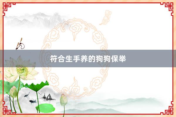 符合生手养的狗狗保举